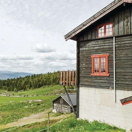 Апартаменты Sulseter Fjellstugu Винстра Экстерьер фото