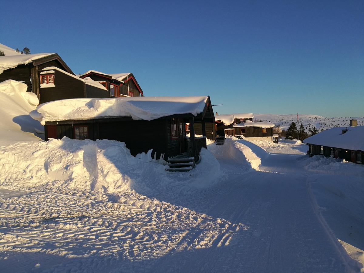 Апартаменты Sulseter Fjellstugu Винстра Экстерьер фото