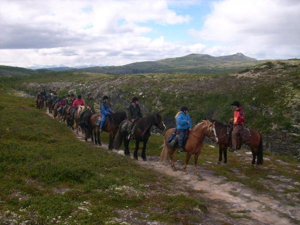 Апартаменты Sulseter Fjellstugu Винстра Экстерьер фото