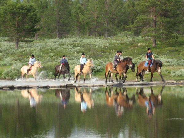 Апартаменты Sulseter Fjellstugu Винстра Экстерьер фото