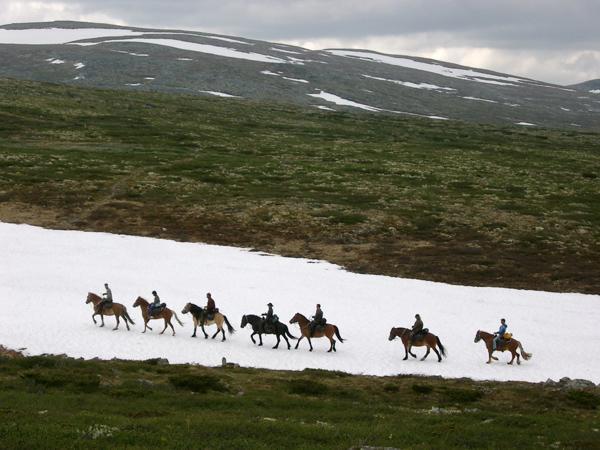 Апартаменты Sulseter Fjellstugu Винстра Экстерьер фото